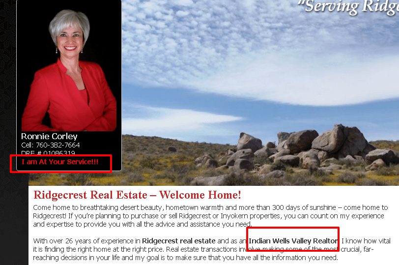 Real Estate Tagline| I am at your service. This screen cap shows a realty pro website with a bio pic on the homepage. The website is regrettable but the agents personal branding is as good as it can be with an excellent use of Tagline and Bio photo. 
