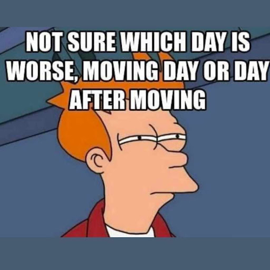 Not Sure Which Day Is Worse Moving Day Or Day After Moving 