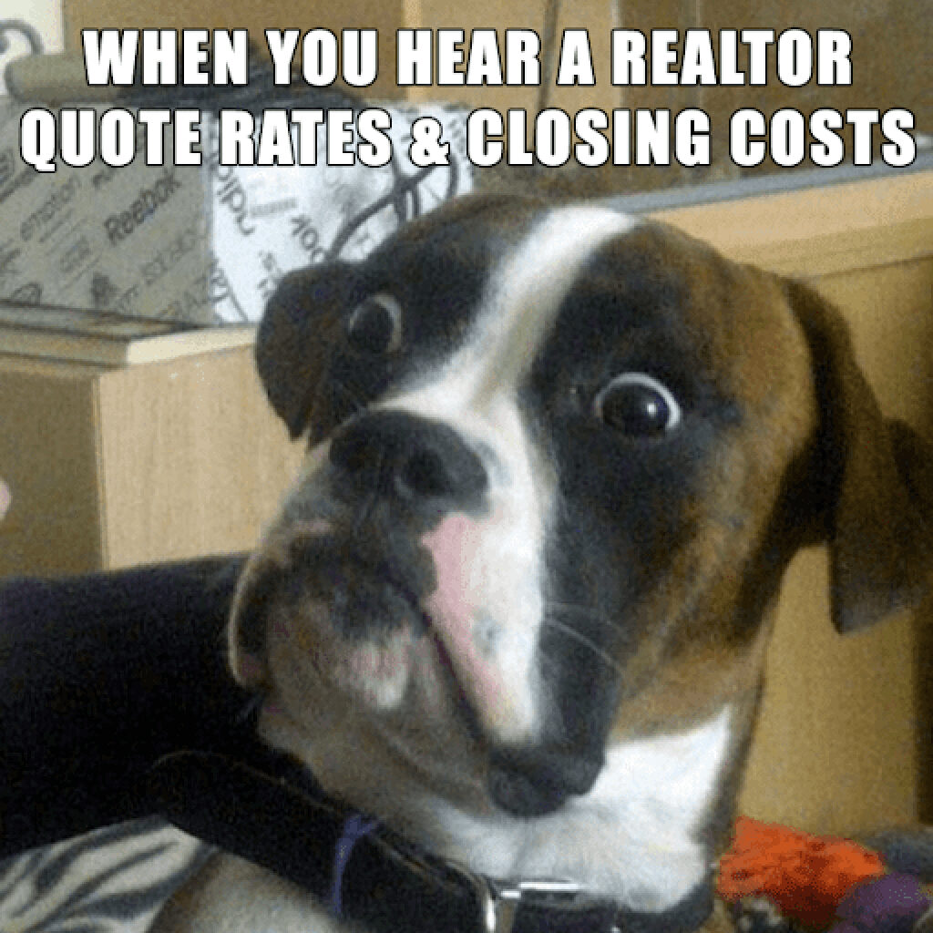 When you hear a realtor quote rates & closing costs - Dog was shocked Funny Real Estate meme 2023