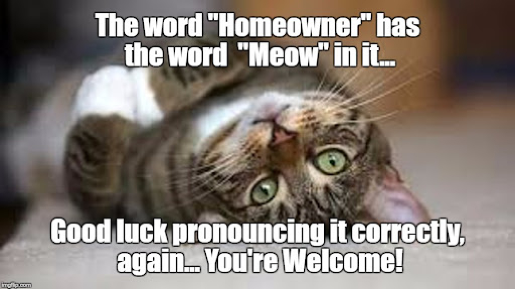 Funny meme about the word Meow is in Homeowner