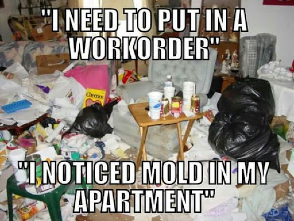 Funny meme putting a workorder noticing mold in the apartment with a very messy house