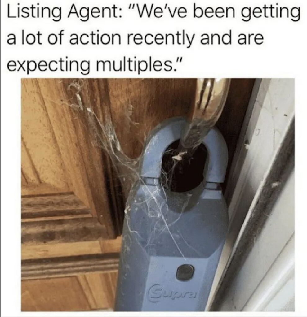 Funny listing agent meme saying We've been getting a lot of action recently and are expecting multiples