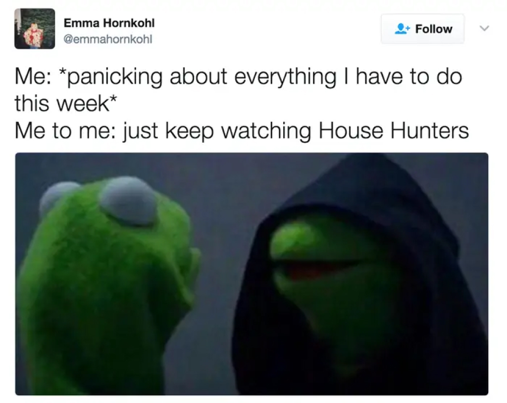 watching house hunters meme